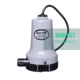 Máy Bơm 12 - 24V